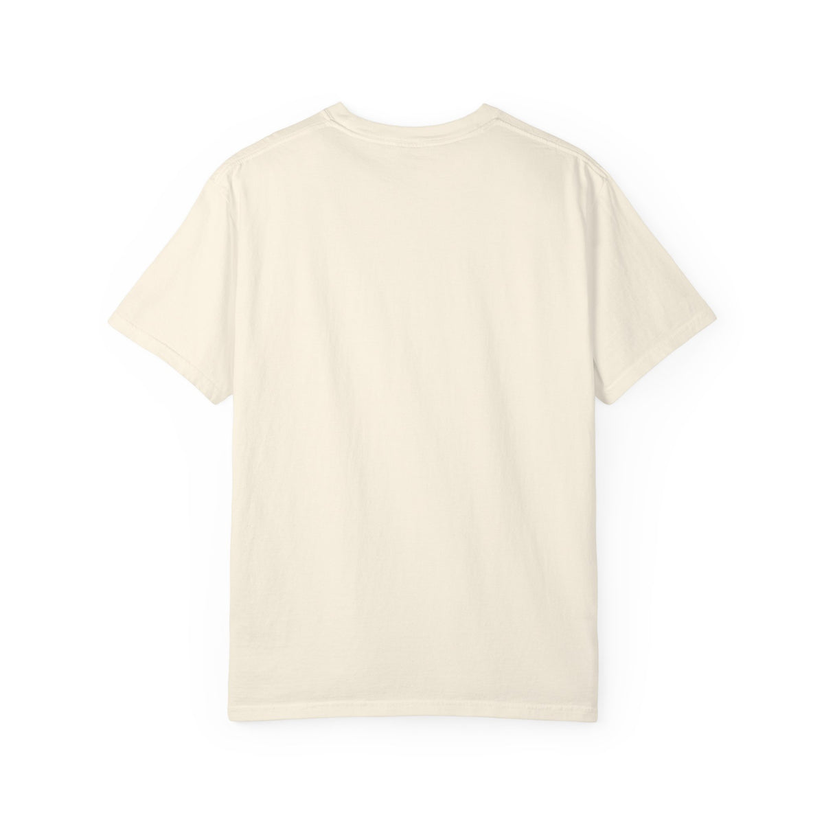 Not Today — Comfort Colors Tee