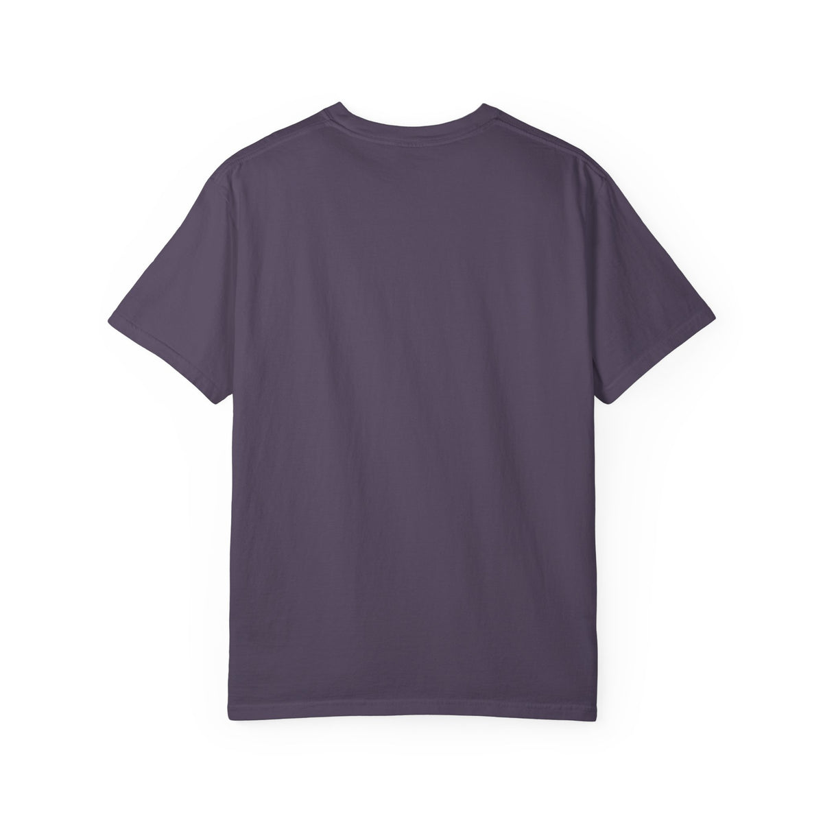 Resting. Still Ambitious. — Comfort Colors Tee