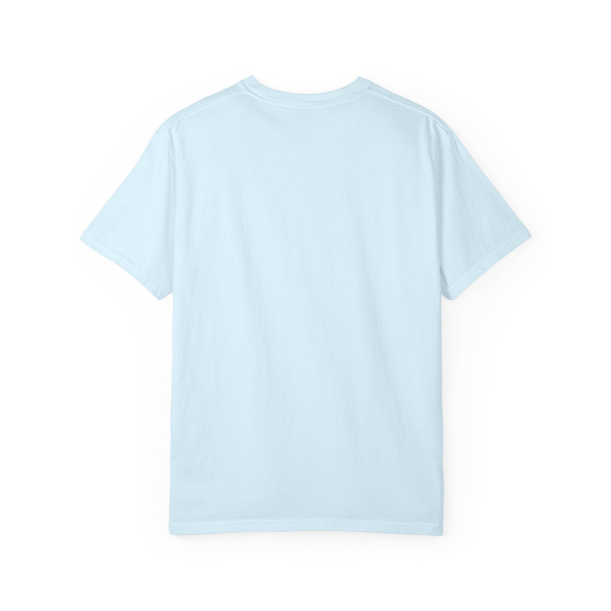 Not Today — Comfort Colors Tee
