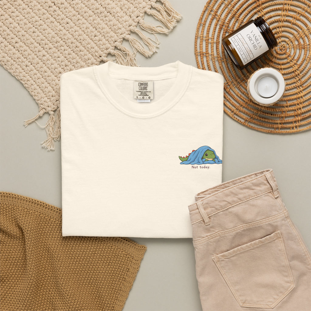 Not Today — Comfort Colors Tee
